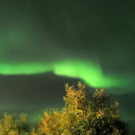 Aurora Rooms: Northern Lights & Arctic Adventures Tromso Exterior photo