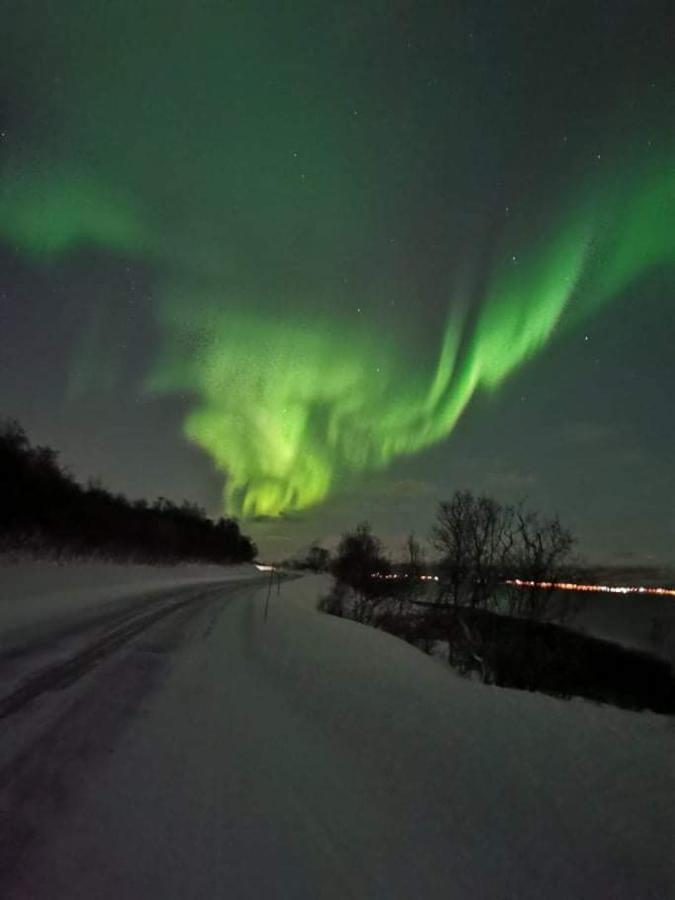 Aurora Rooms: Northern Lights & Arctic Adventures Tromso Exterior photo