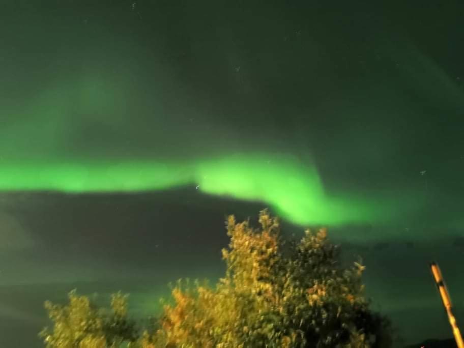 Aurora Rooms: Northern Lights & Arctic Adventures Tromso Exterior photo